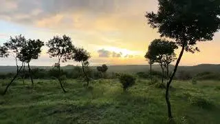 A #sunset I&rsquo;ll Never Forget #kenya #safari