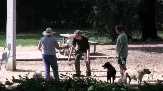 Blind Guy Walking Dead Animal Prank