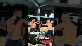 BE REAL: 🏋️КАЧОК🏋️ ПРОТИВ 👊КУЛАЧНИКА👊 🔥РЕЗУЛЬТАТ &mdash; НОКАУТ😱😱😱 #bereal #fighting #mma #shorts