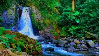 Waterfall Sounds for Sleeping, Water Sounds for stress relief, River Sounds for relaxation