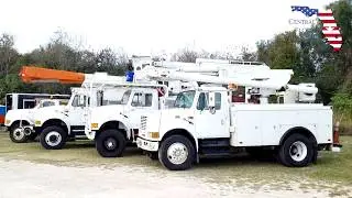 Central Florida Tree Care: We Provide Quality Tree Services in Lakeland, FL