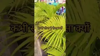 machis ki kitna # motivational shorts #comedy #viral # emotional 😭# tranding # Viral short