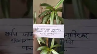 Handwritten Marathi Motivation | Powerful Marathi Motivational Quotes | #shorts #MarathiMotivation