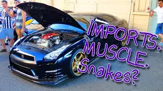 Muscle, Imports, and a Snake! - Red Door Meet - 5 June 2016