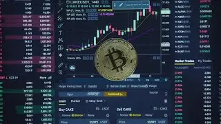 LayerZero and Zora Token Prices Soaring, Are&hellip;