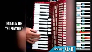 Escala de Si Mayor - TECLADO / PIANO Acordeon de Teclas