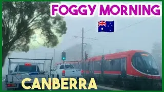 FOGGY MORNING IN CANBERRA AUSTRALIA | WE ARE DRIVING IN A VERY THICK FOG