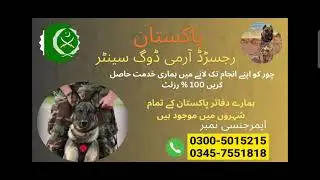 Pakistan Army Dog Center Best Service Khoji Kutte #khojikutte #khojikutta #khojidogs #armydogcenter