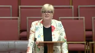 Labor's Approval of the Appalling North Stoneville Development