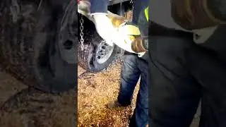 #копыта #чисткакопыта #сельскоехозяйство