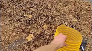 Oddly Satisfying Leaf Cleanup You Didn’t Know You Needed