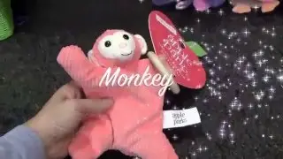 Organic Pacifier Pal