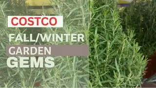 Costco Garden Finds for Fall & Winter: What You Can Still Buy In November