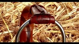 Wędzidło Skórzane - LEATHER BIT- JK System  www.jerzykrukowski.pl