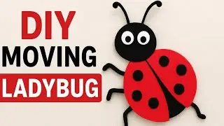 Making a DIY Ladybug