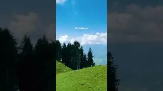 &ldquo;Immerse yourself in the calming beauty of green nature. 🌿 #gonature #NatureLovers #GreenEscape&rdquo;
