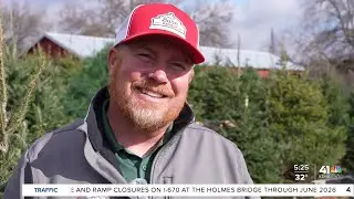 Red Barn Ranch opens Christmas tree farm for first time as demand for real trees grows