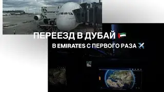 VLOG | ПЕРЕЕЗД В ДУБАЙ. ПРОШЛА В EMIRATES С ПЕРВОГО РАЗА ✈️