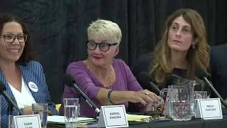 Ward 14 council candidates debate for Toronto&rsquo;s municipal election