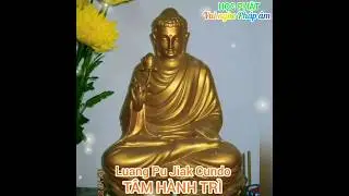 T&Acirc;M H&Agrave;NH TR&Igrave; #hocphat #daophat #phatgiao
