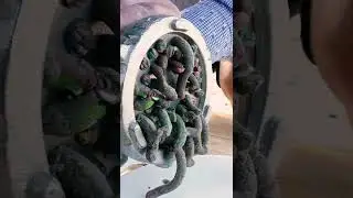 Plasticine in Meatgrinder ASMR #shorts