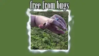 free from bugs subliminal *forced
