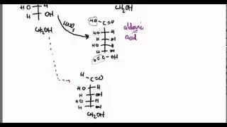 Carbohydrates 21:  Oxidation Examples