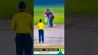 Confident shot clearing the longest boundary!