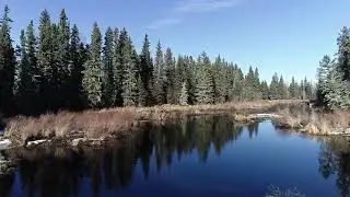 Jackfish Creek drone