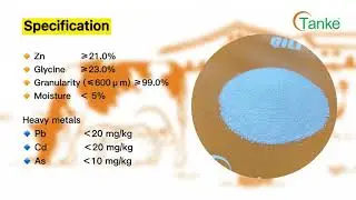 Qili Zn (Zinc Glycine Chelate)
