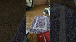 #unboxing #amazon #myntra #online #fashion #unboxingonline #atshop #shopping #sugerfree #sugerstreep