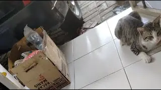 CARA TAMBAL BAN BOCOR TAPI BATAL KARENA TIDAK MUNGKIN DI TAMBAL