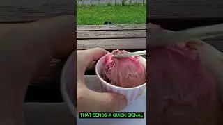 Brain Freeze Explained #shorts #trending #viral #icecream #facts #science #fyp