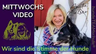 Mittwochsvideo 25.07.09  -  Aufbau Platz auf Distanz!