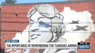 Daughter of Tuskegee Airman on Trump DEI executive order, Airforce training materials