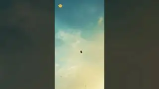 Nice Weather #weather #kiteflying #patangbazi #basant #kite #kitefestival #basant_2023 #shorts