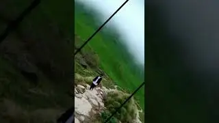 1 video 7 photo song edit
