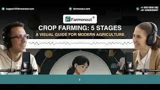 The 5 Essential Stages of Crop Farming :  A Visual Guide for Modern Agriculture