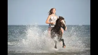 Unvergesslicher Ostseeurlaub mit unseren Pferden und Mikasi // Teil 1