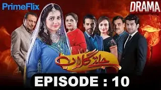 Jaltay Gulab Episode 10 | Zeba Bakhtiyar| Anum Fayyaz- Abid Ali -  Humayun Ashraf | Prime Flix Drama