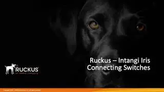 Ruckus - Intangi Iris Part 6 - Connecting Switches