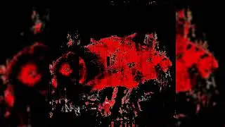 temporary salmon &mdash; 持続【オリジナル曲】