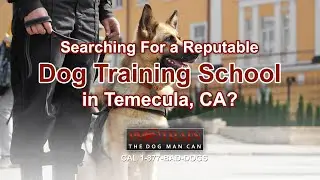 Dog Training Temecula