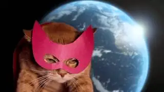 СУПЕРКОТ [SUPERCAT]