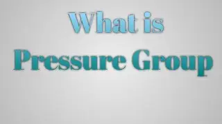 What is a Pressure Group in Politics