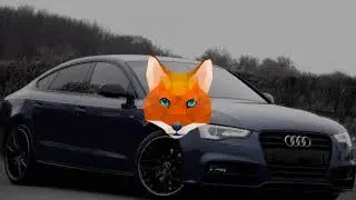 Lil Pump - Iced Out ft. 2 Chainz (Bass Boosted)