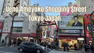 Walking Tour: Ueno Ameyoko (アメ横) Shopping Street, Tokyo Japan || by: Stanlig Films
