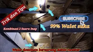 TRIK DAN TIPS PEMASANGAN TWEETER INAP KOMBINASI 2 SUARA, WALET SUKA BERSARANG DEKAT TWEETER....