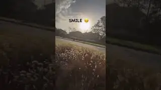 Every Day Is A New Beginning ❤️🌞| Motivational Quotes | Morning Walk | Sunny Day 🌞
