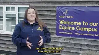 BSc (Hons) Equine Business Management at ARU Writtle